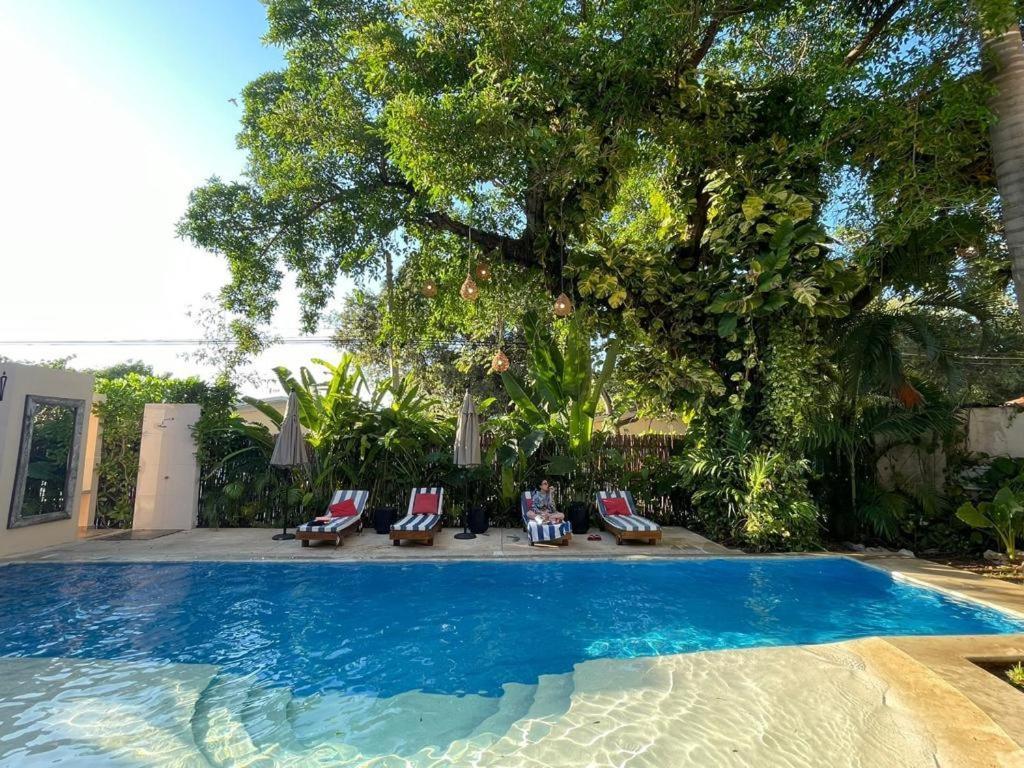 Via Tendenza * Playa del Carmen